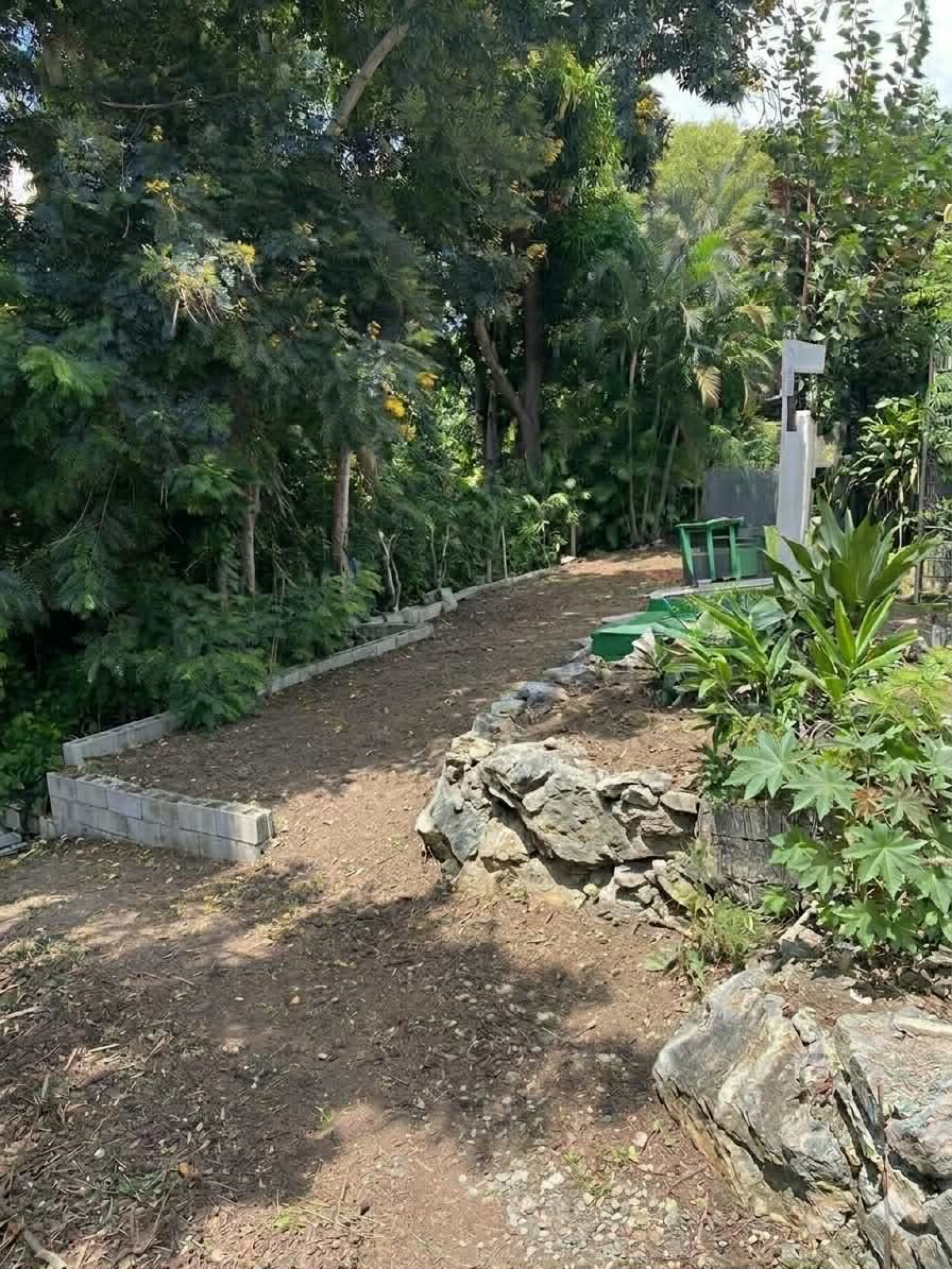 Image_, Terrain, Saint-Denis, ref :BCVTE150001175