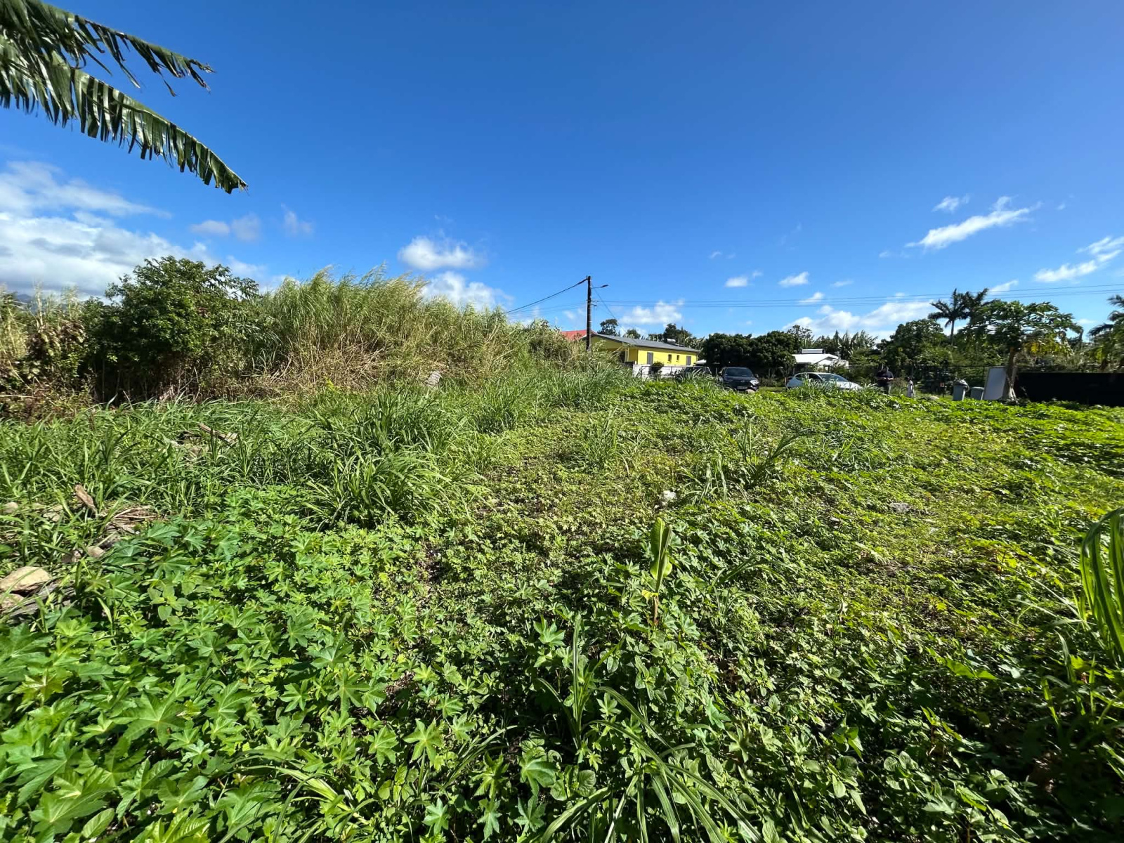 Image_, Terrain, Saint-André, ref :BCVTE150001200