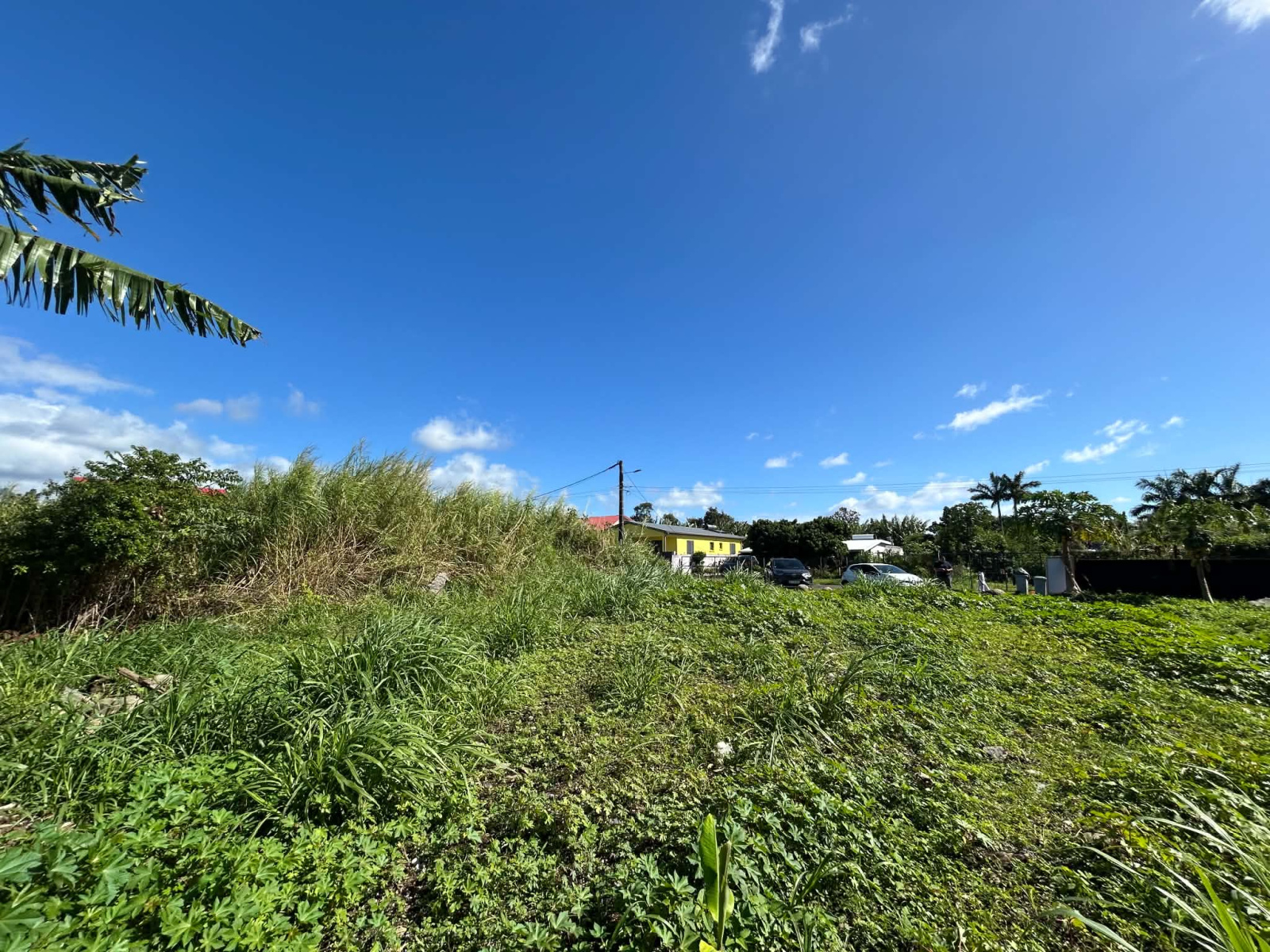 Image_, Terrain, Saint-André, ref :BCVTE150001200