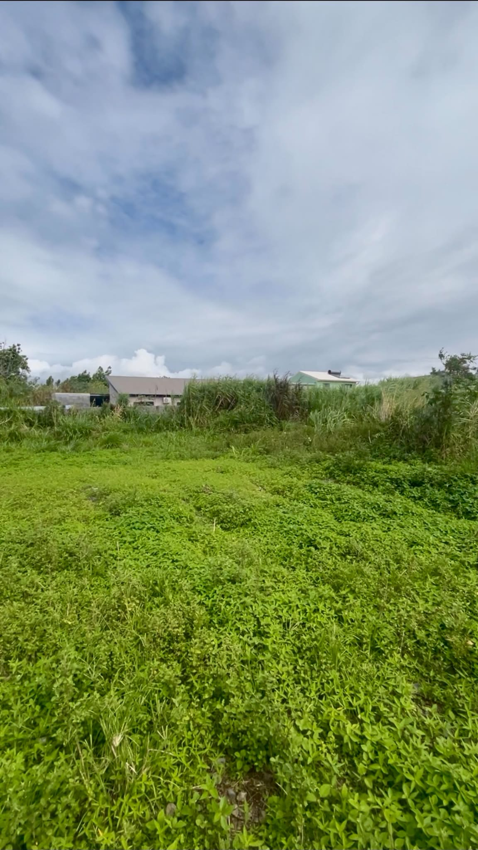 Image_, Terrain, Saint-André, ref :BCVTE150001191