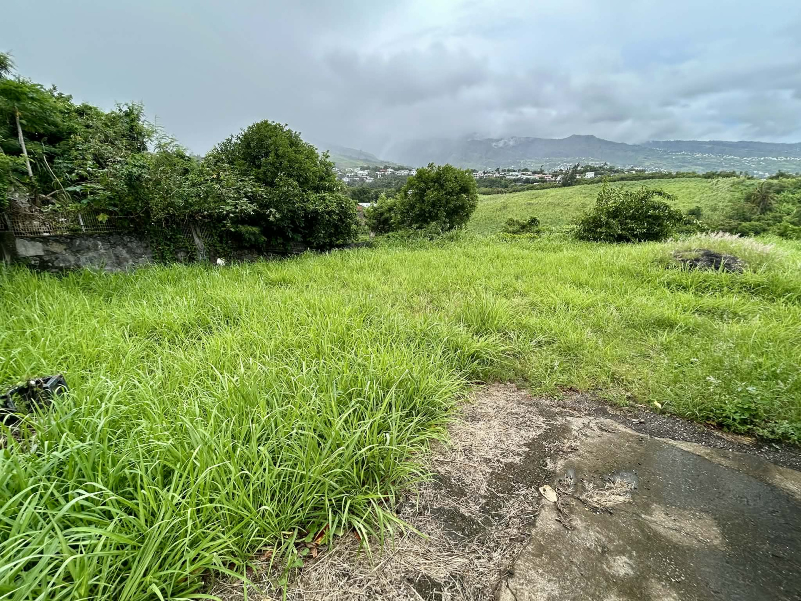 Image_, Maison, Sainte-Marie, ref :BC150001142