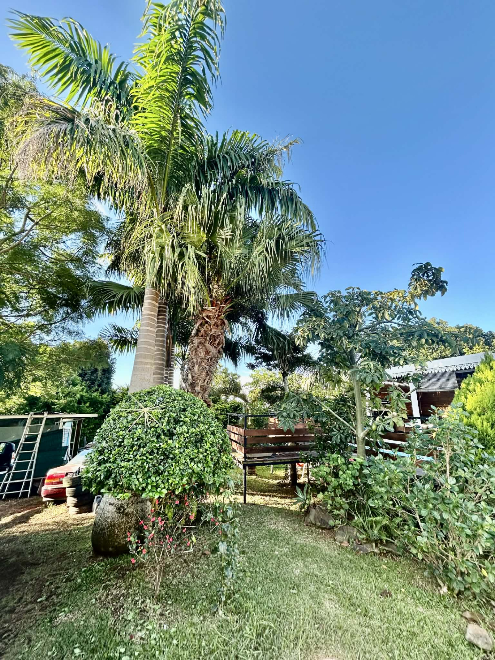 Image_, Villa, Sainte-Marie, ref :BCVVI150001178