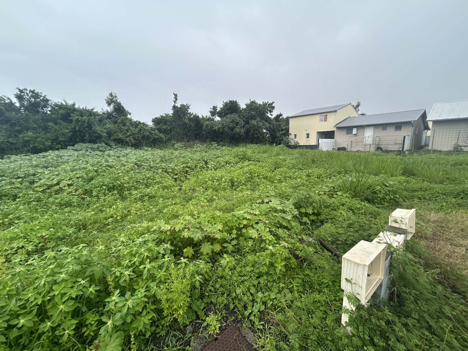 Image_, Terrain, Saint-André, ref :BCOTE150001172