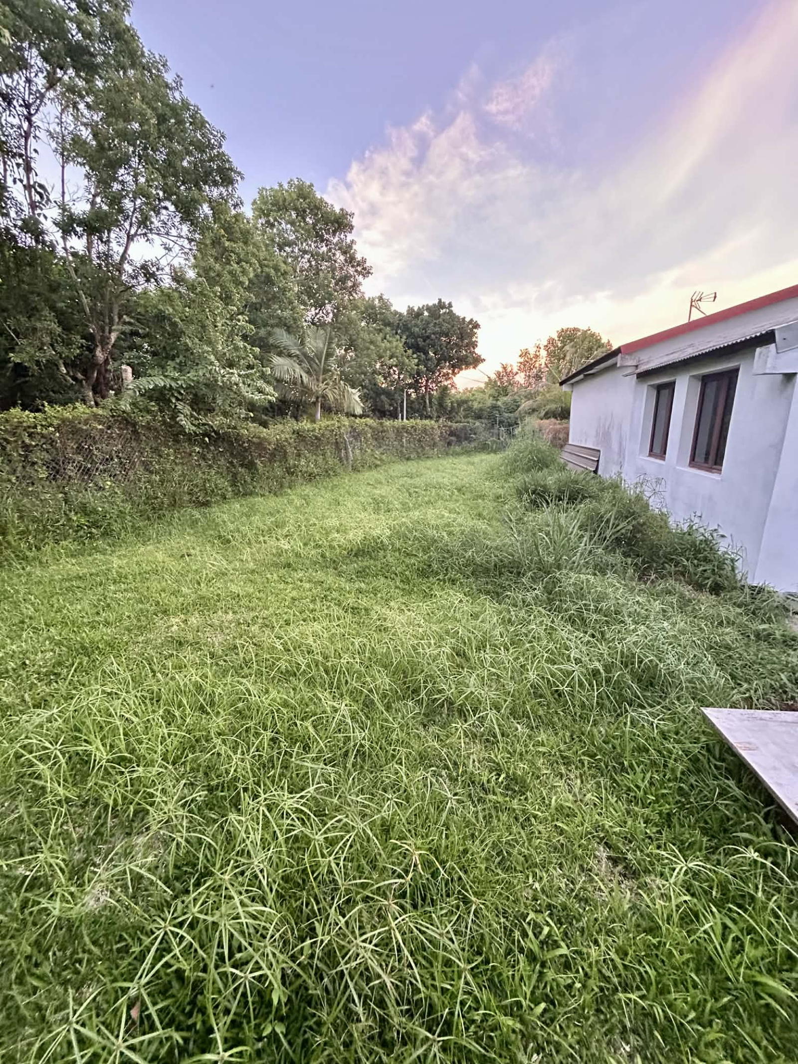 Image_, Villa, Saint-André, ref :BCVVI150001180