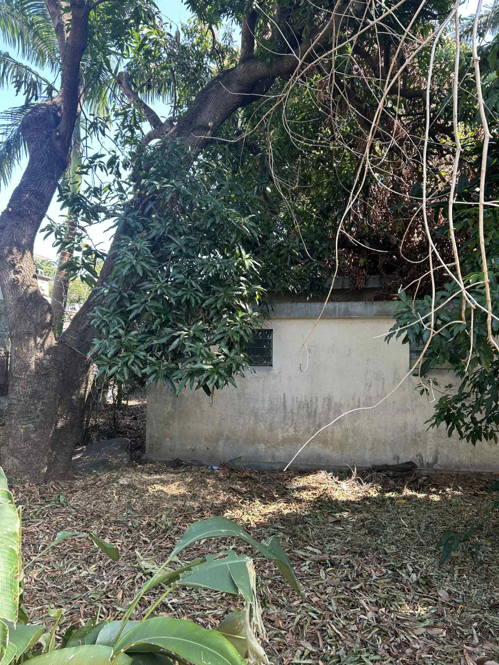 Image_, Maison, Saint-Denis, ref :BCVMA150001136