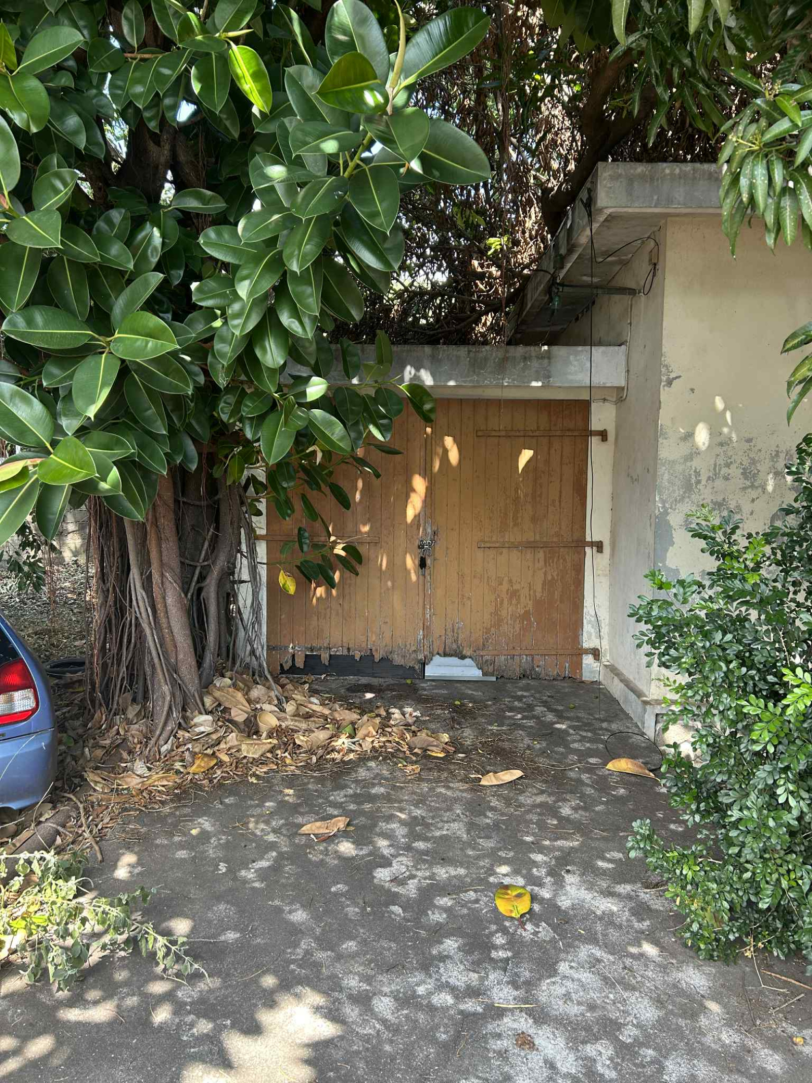 Image_, Maison, Saint-Denis, ref :BCVMA150001136