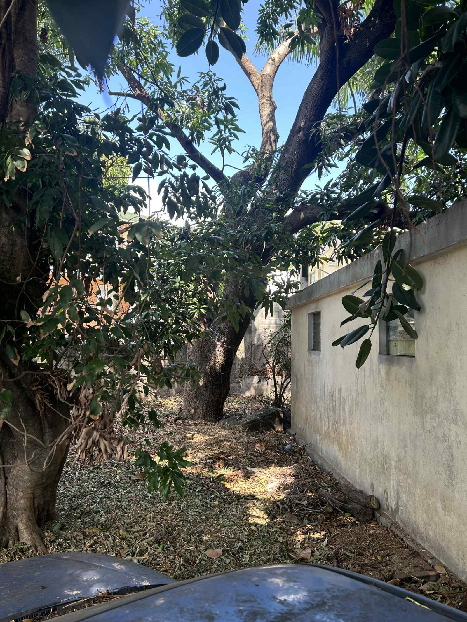 Image_, Maison, Saint-Denis, ref :BCVMA150001136